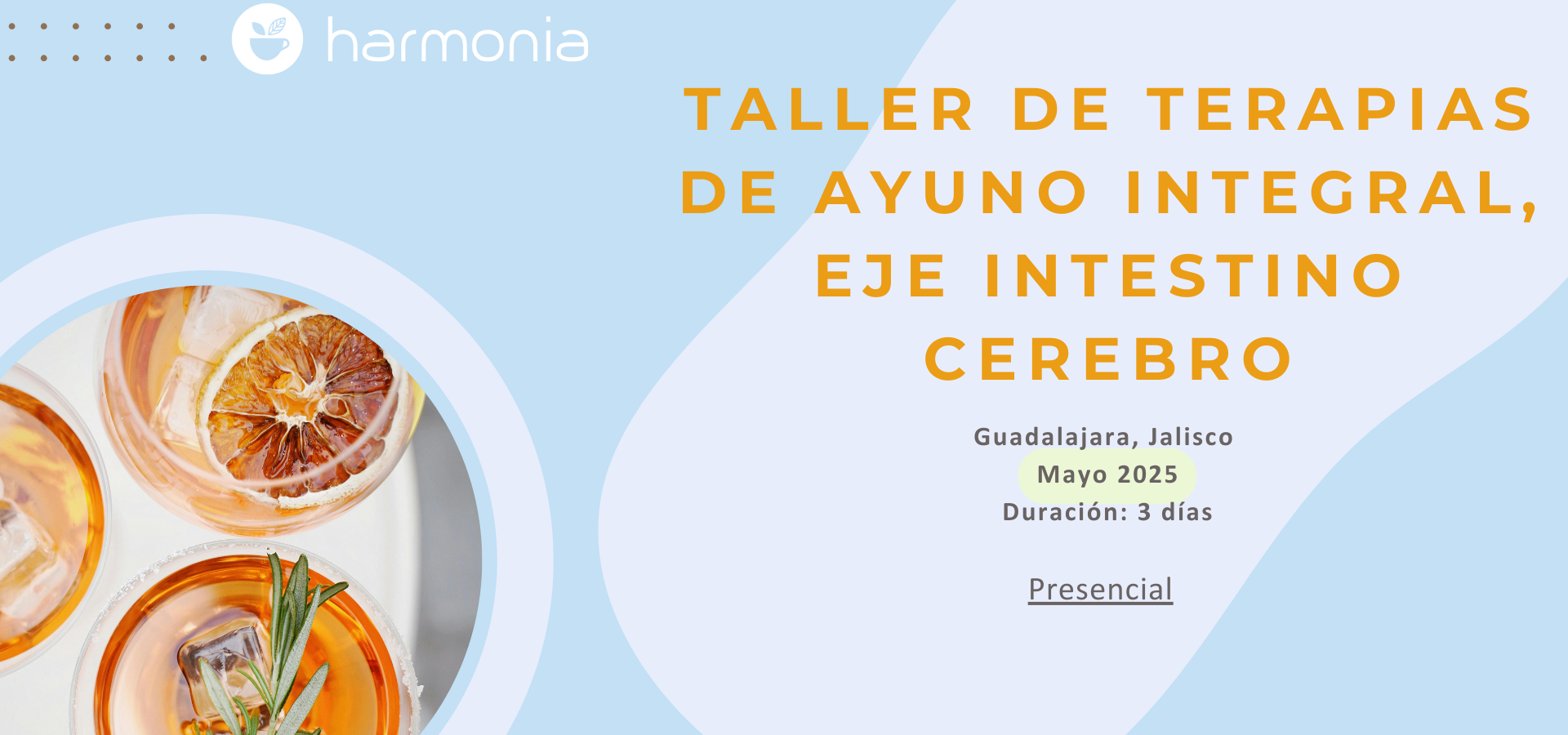 Séptima diapositiva